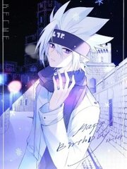 猫咪在线免费观看